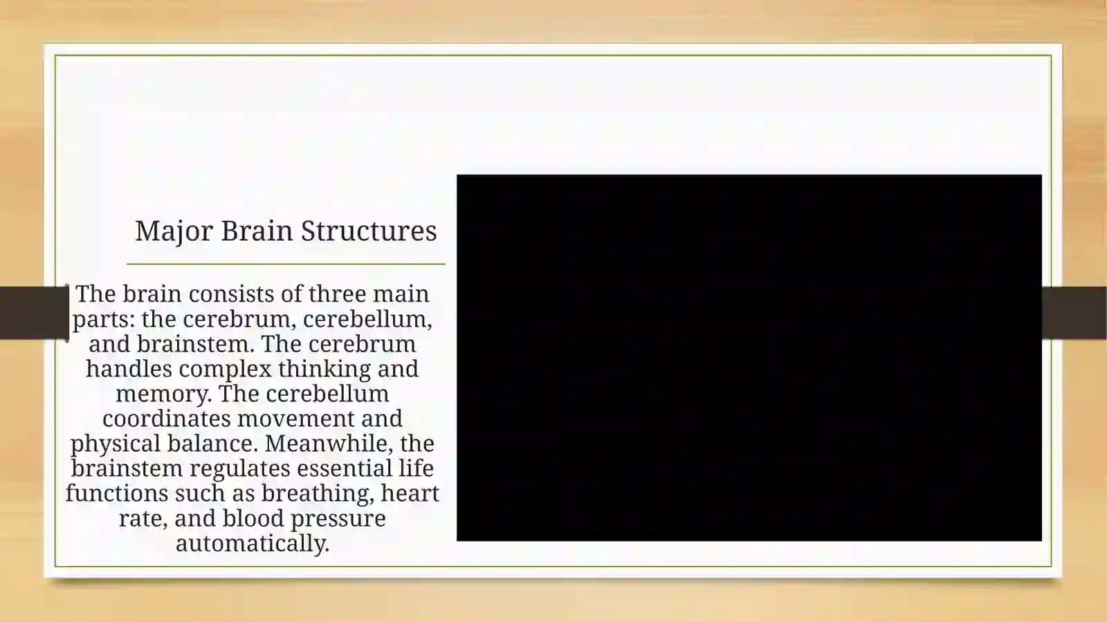 Human Brain: An Overview 3