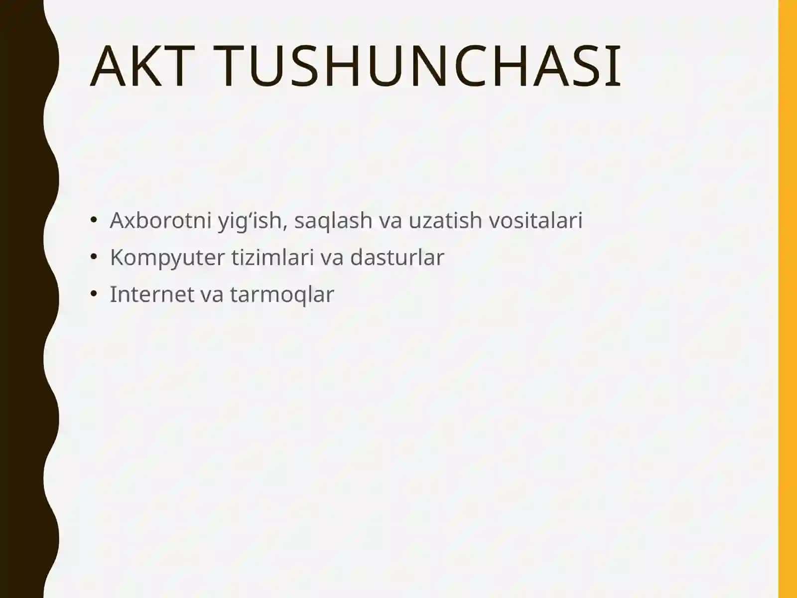 AKT bojxona tizimi 3