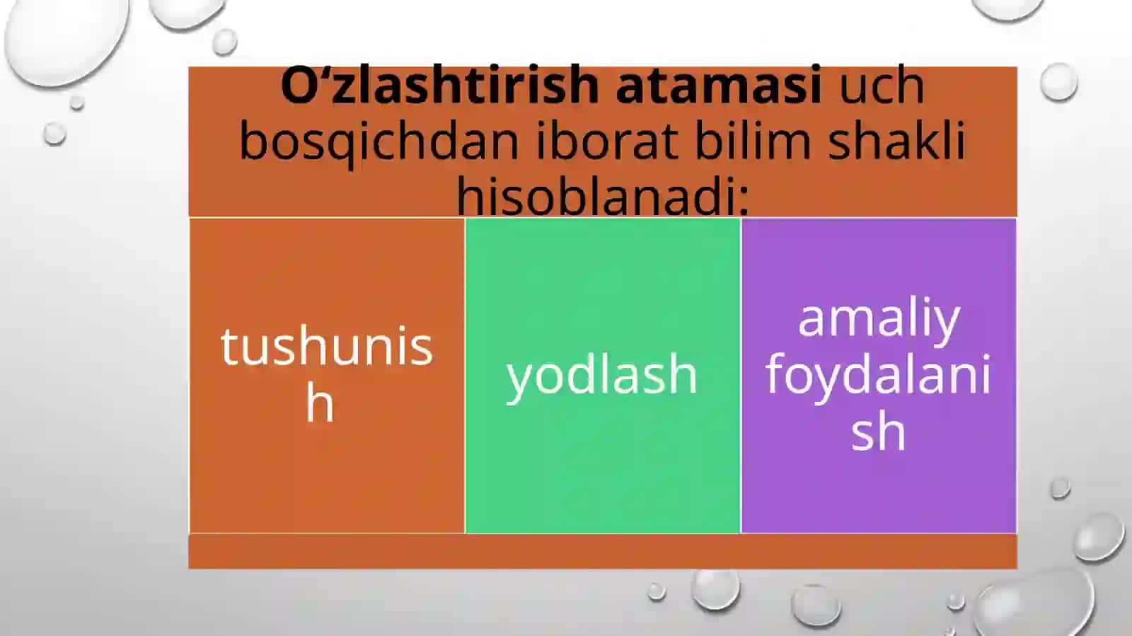 prezentatsiya 3