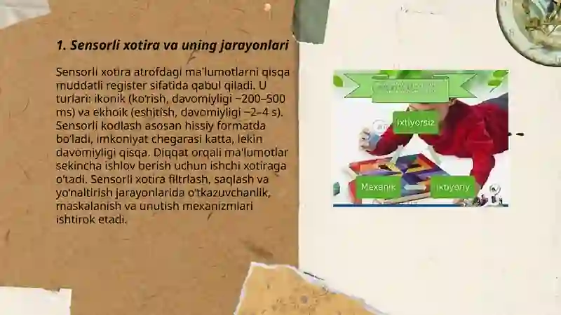 Sensorli xotira va uning jarayonlari 3