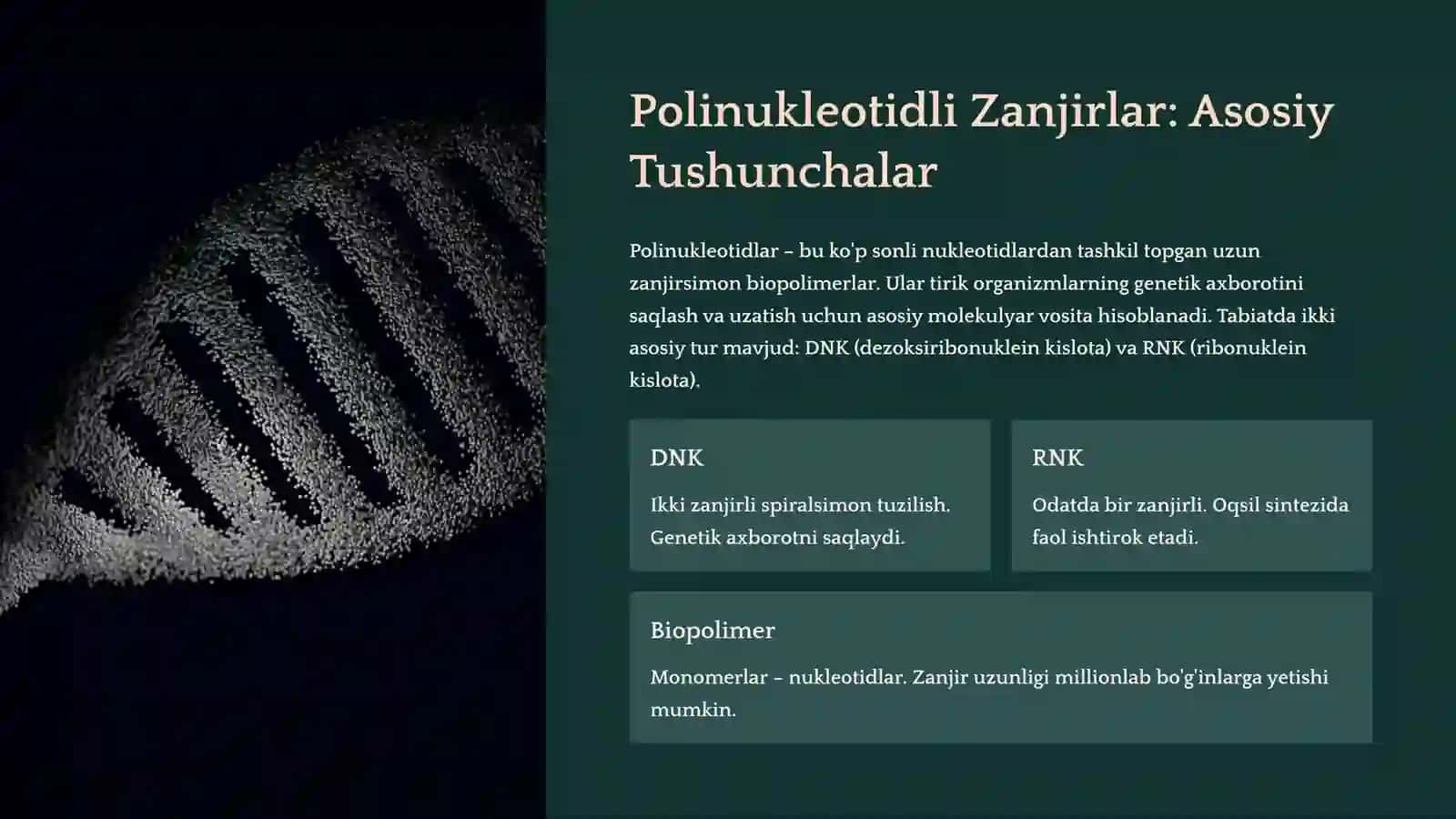 Polinukleotidli Zanjirlar – Struktura va Funksiyalar 3