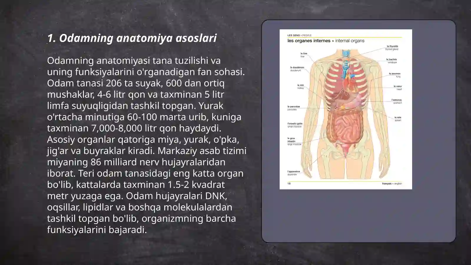 Odamlar va ularning organlari tuzilishi 3