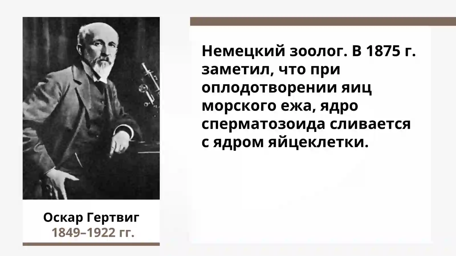ХРОМОСОМНАЯ ТЕОРИЯ НАСЛЕДСТВЕННОСТИ 3