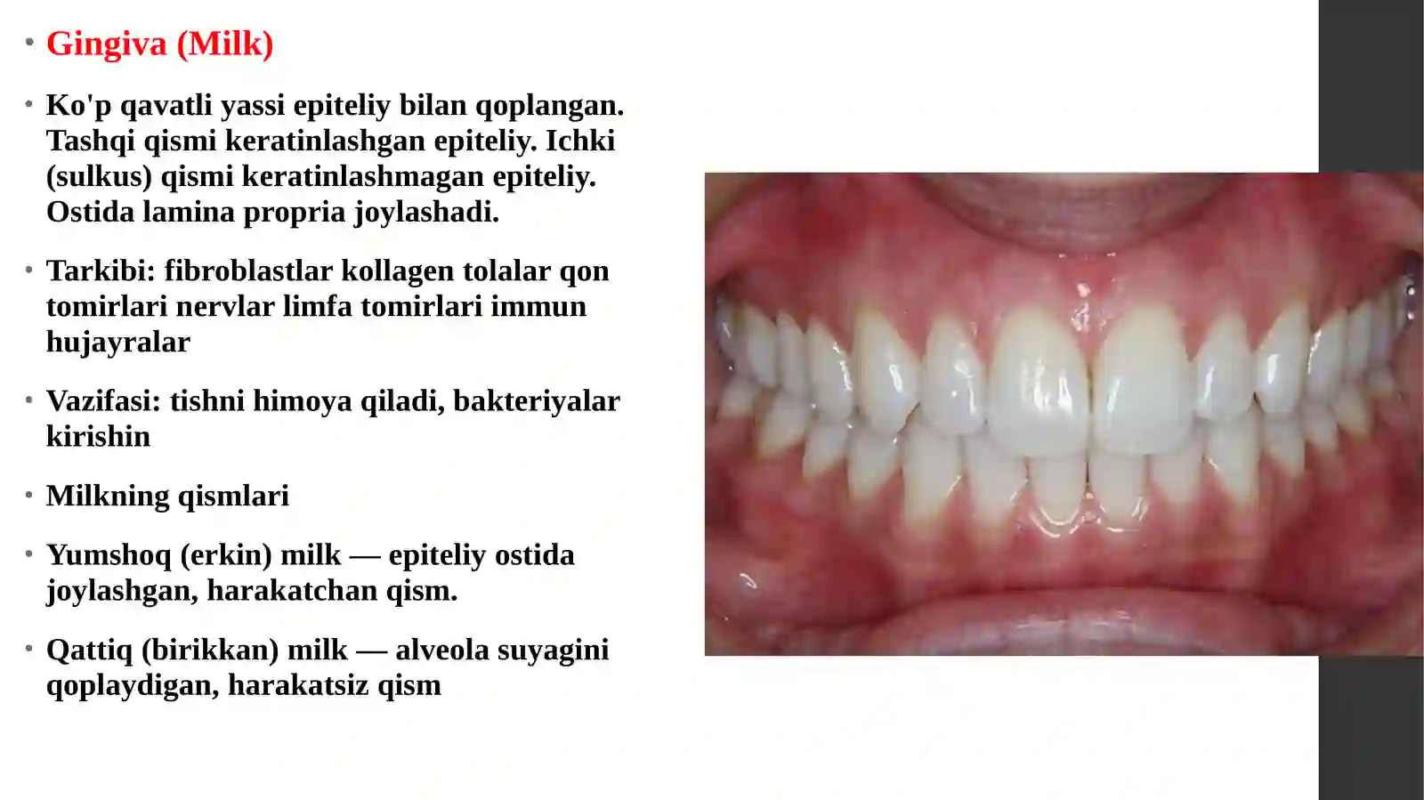 Parodont toʻqima uning tuzilishi va patalogiyalari haqida taqdimot 3