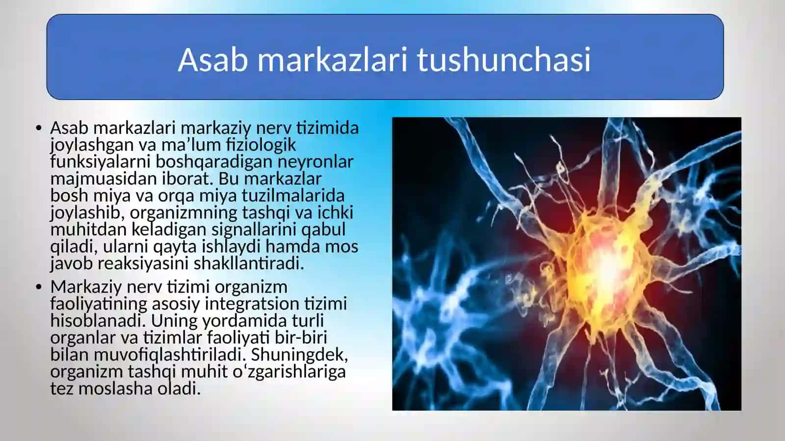 Asab markazlari. Asab markazlarning xossalari 3