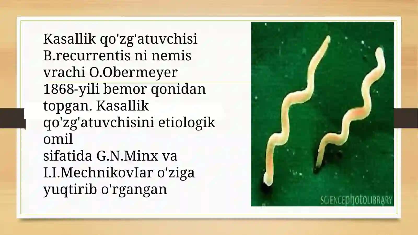 Borreliozlar morfologiyasi Borreliozlar morfologiyasi strukturasi Tarqalganligi keltirib chiqaruvchi kasalliklari mavzusida tayyorlagan 3