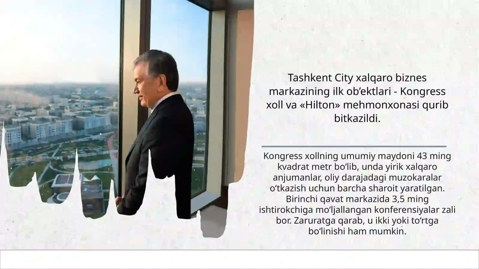 “Hilton”mehmonxonasilandshaftvainteryerdizayni 3