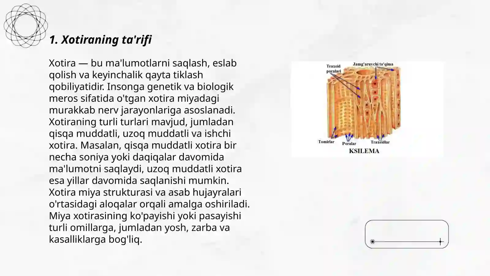 Xotira haqida tushuncha va uning nerv fiziologik asosi 3