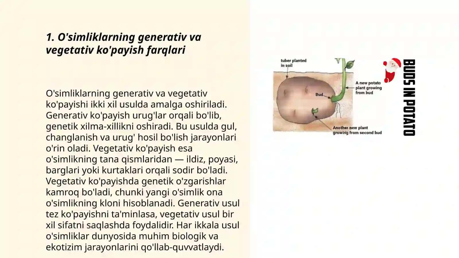 Oʻsimliklarning vegetativ koʻpayishi yoʻllari 3