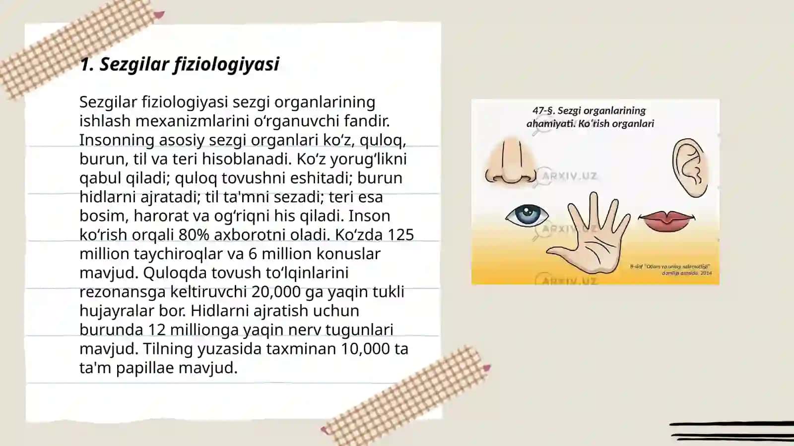 Sezgilar fiziologiyasi 3