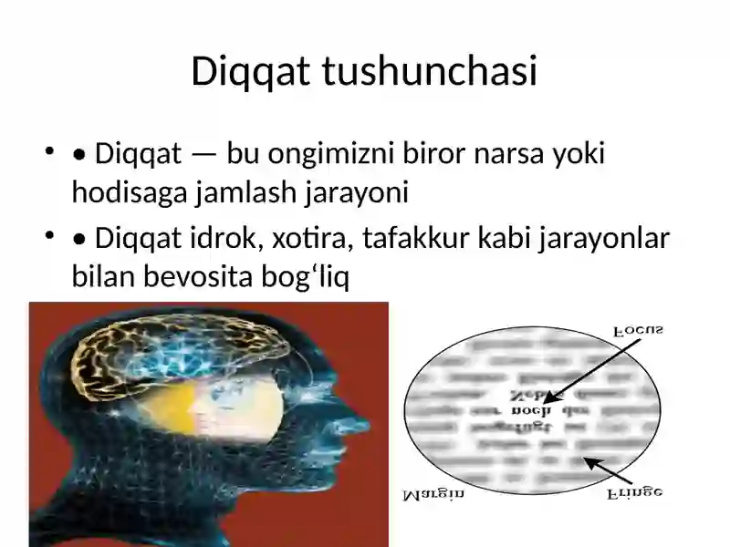 Diqqat 3