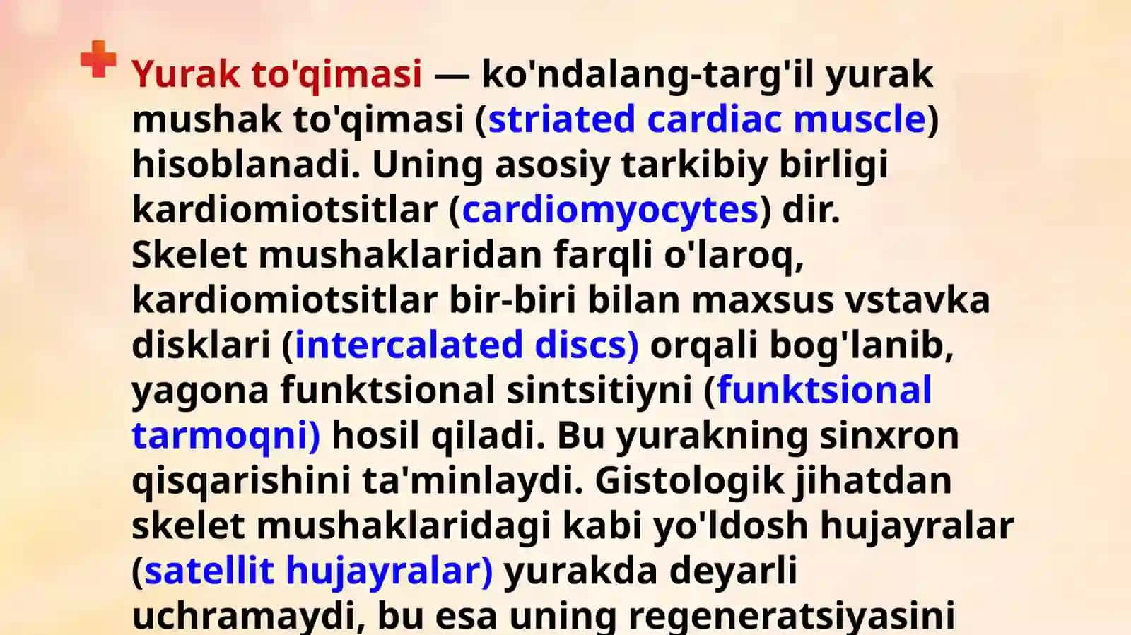 Yurak mushagi (miyokard) regeneratsiyasining gistologik va tibbiy muammolari 3
