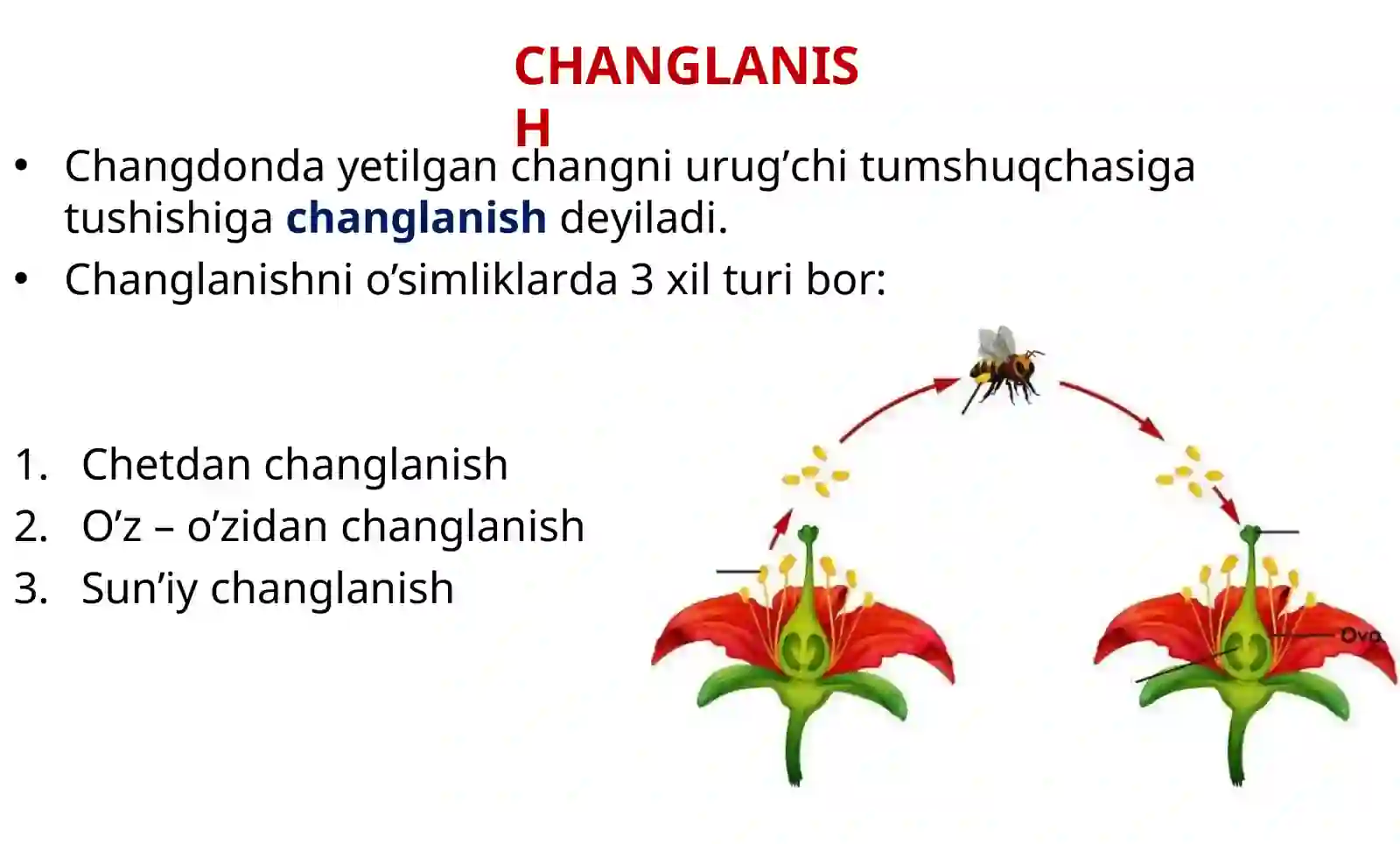Botanika 6-dars 3