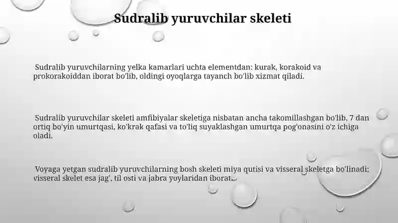 Sutemizuvchilarning sistematikasi 3