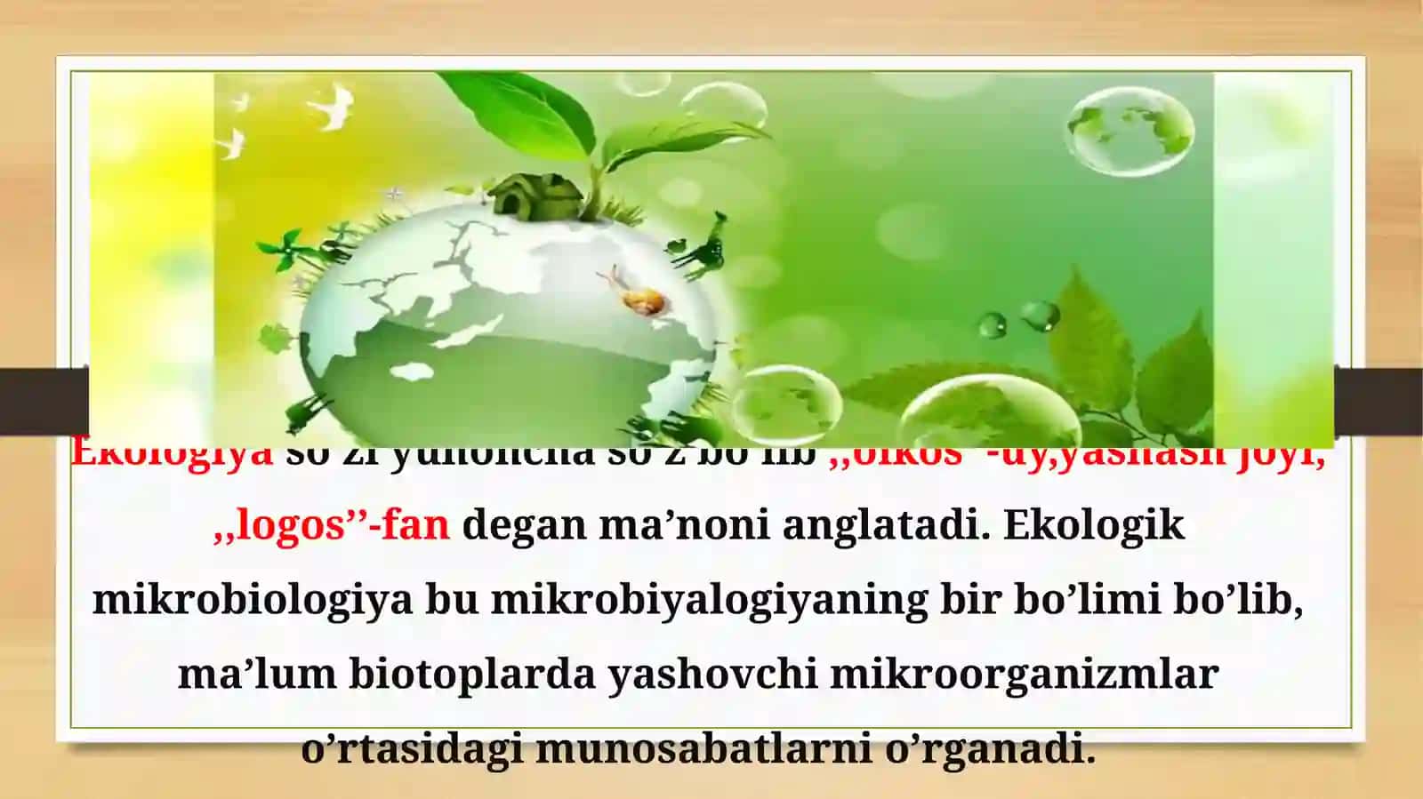 Mutalipova Husnidanining mikrobiologiya fanida tayyorlagan prezentatsiyasi 3