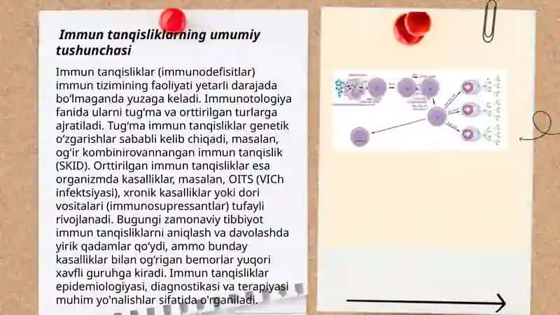 Immunopatologiya, xozirgi zamon klassifikatsiyasi: tugʻma va orttirilgan immun tanqisliklari 3