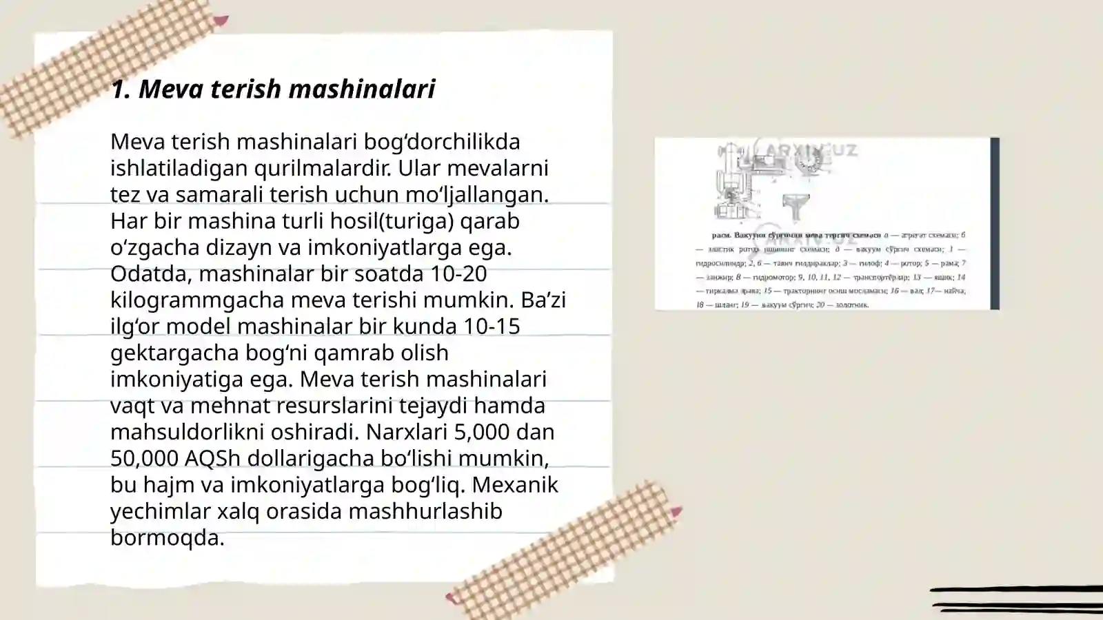 Meva terish mashinalari 3