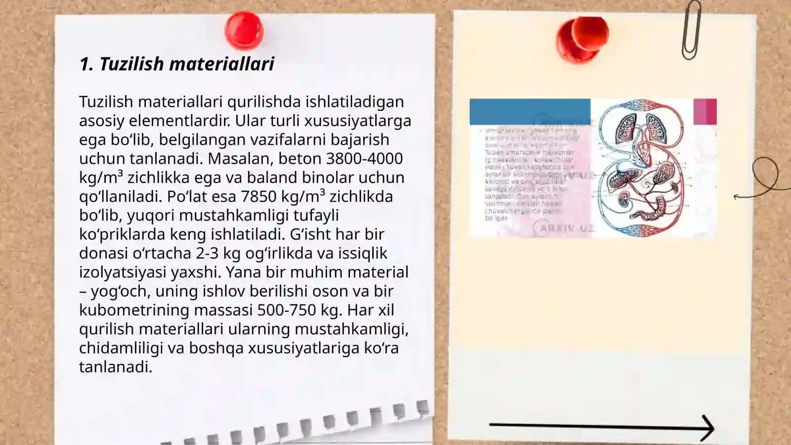 Taloqning tuzilishi 3