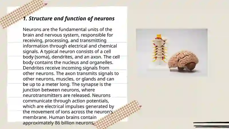 Structure and function of neurons 3