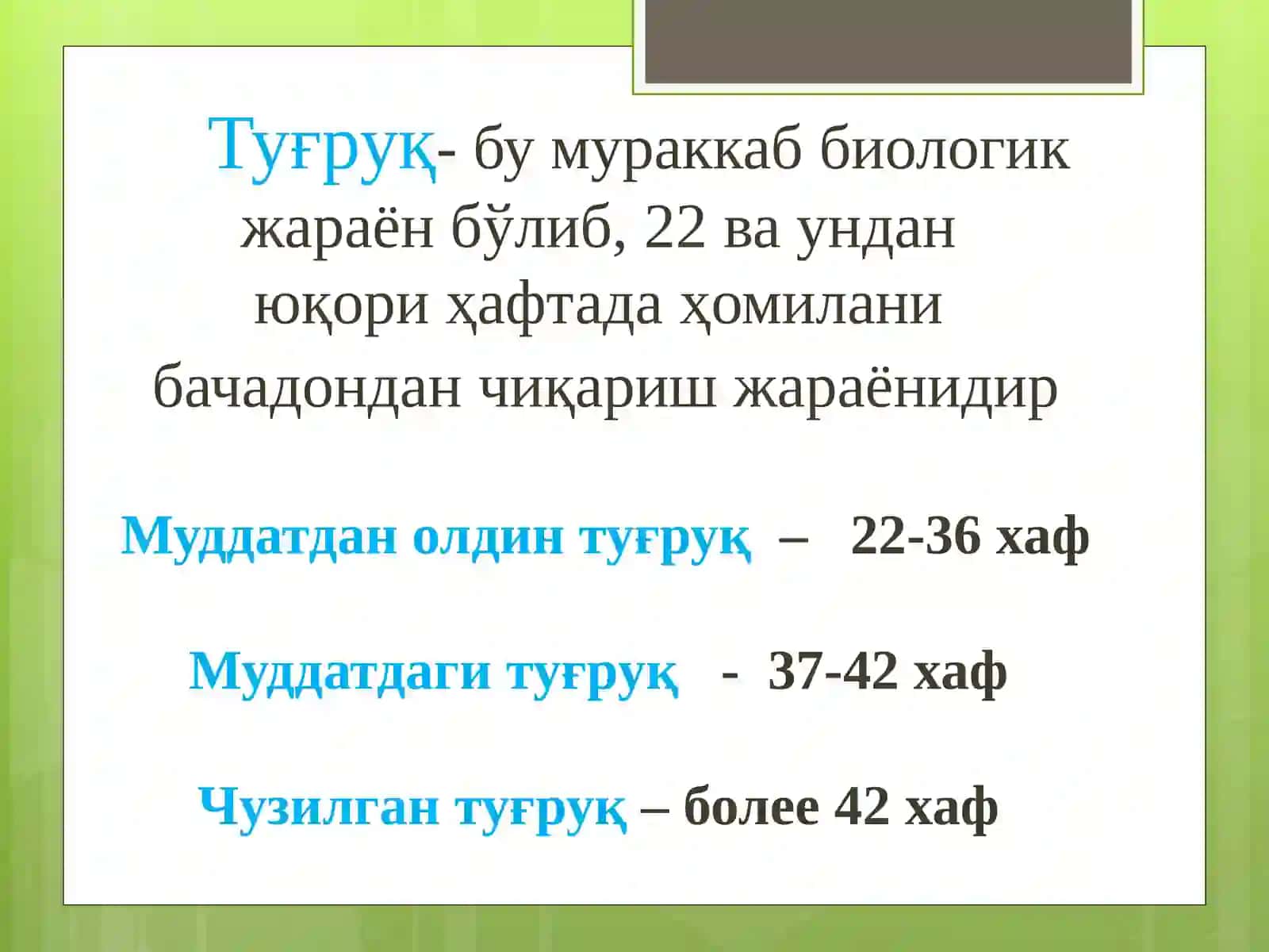 Туғруқдаврлари 3