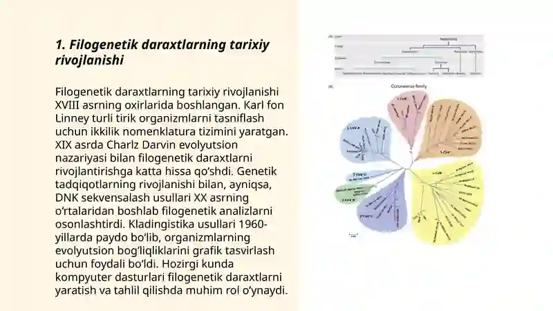 Filogenetik daraxt 3