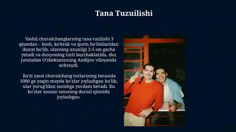 Yassi chuvalchanglar tipi 3