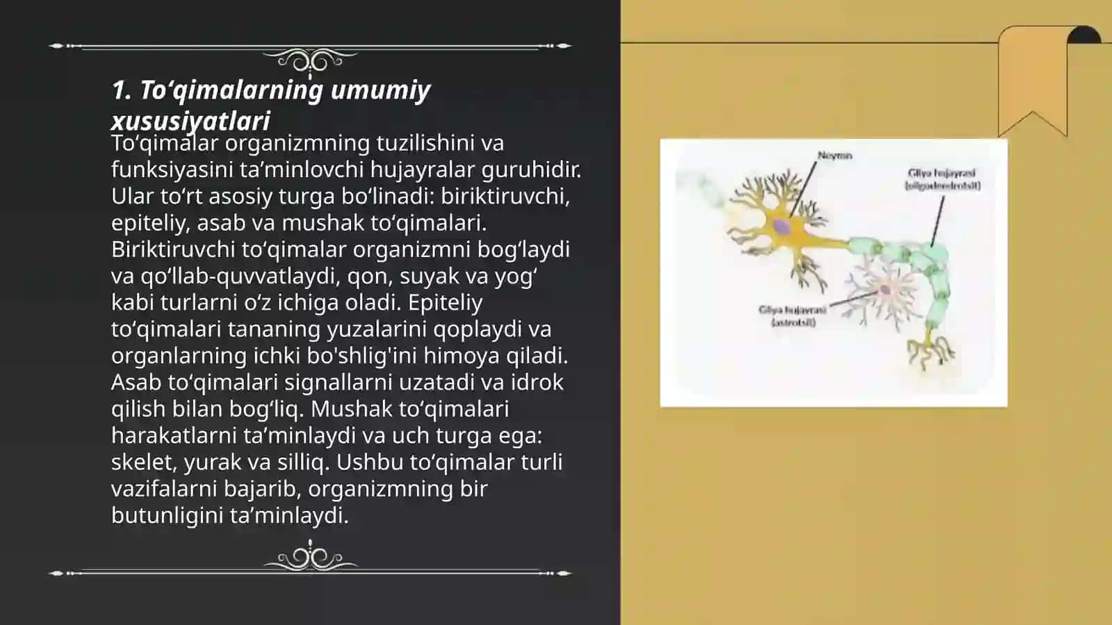 Toʻqimalar tuzilishi. Abdraxmanova Shaxrizoda 3