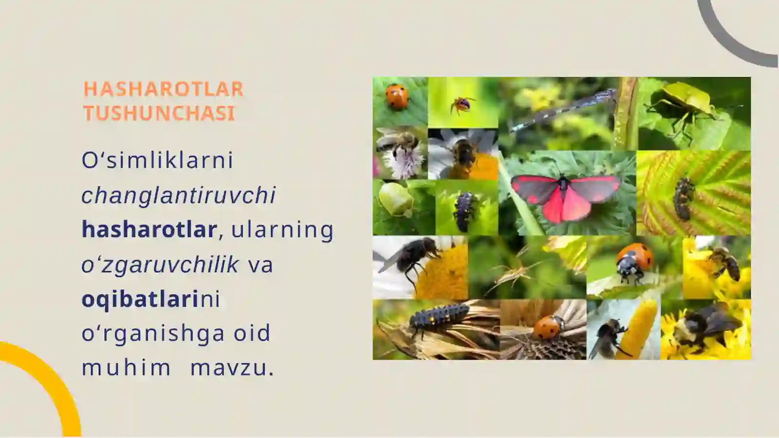 OʻSIMLIKLARNI  CHANGLANTIRUVCHI  HASHAROTLAR 3