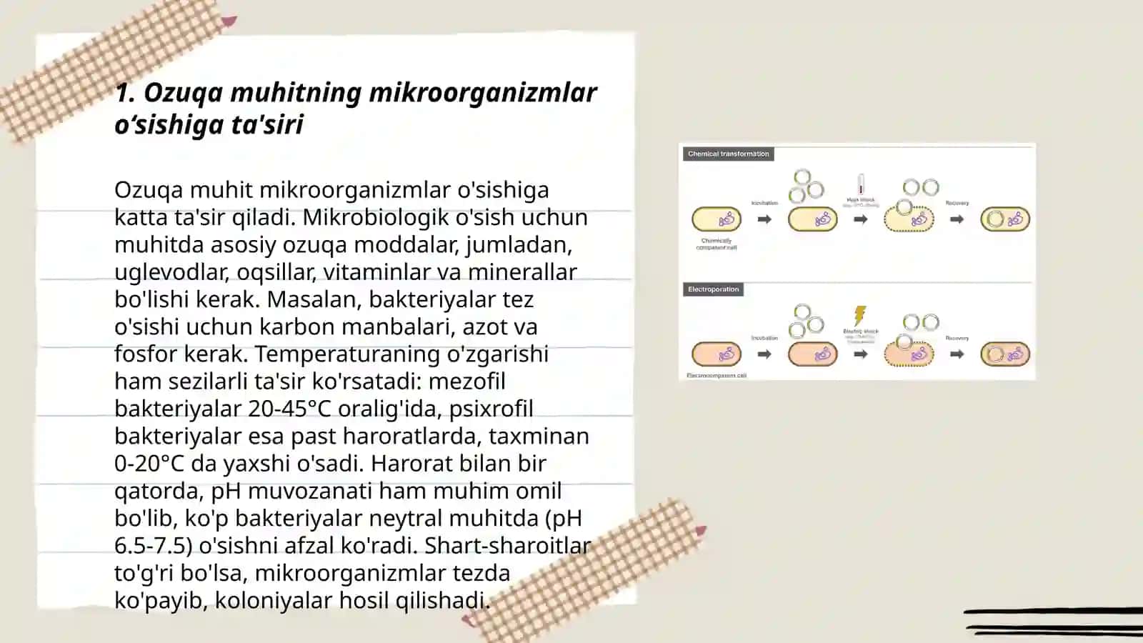 Ozuqa muhitlari bakteriyalar hujayrasiga moddalarning o'tish mexanizmi roli 3