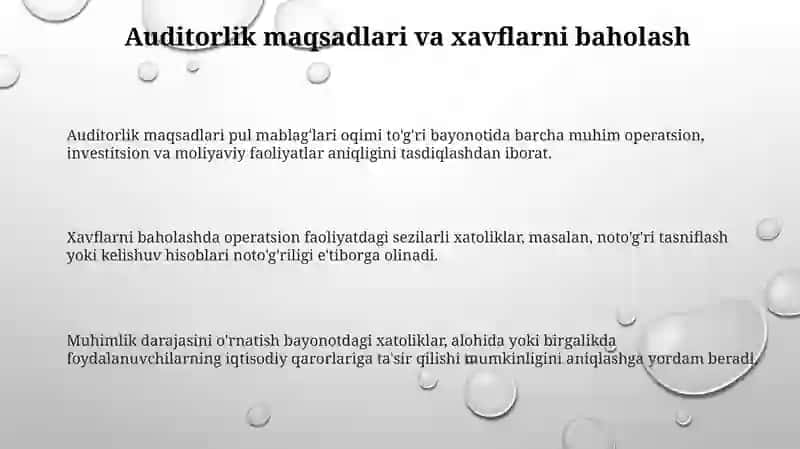 Auditorlik Maqsadlari va Xavflarni Baholash 3