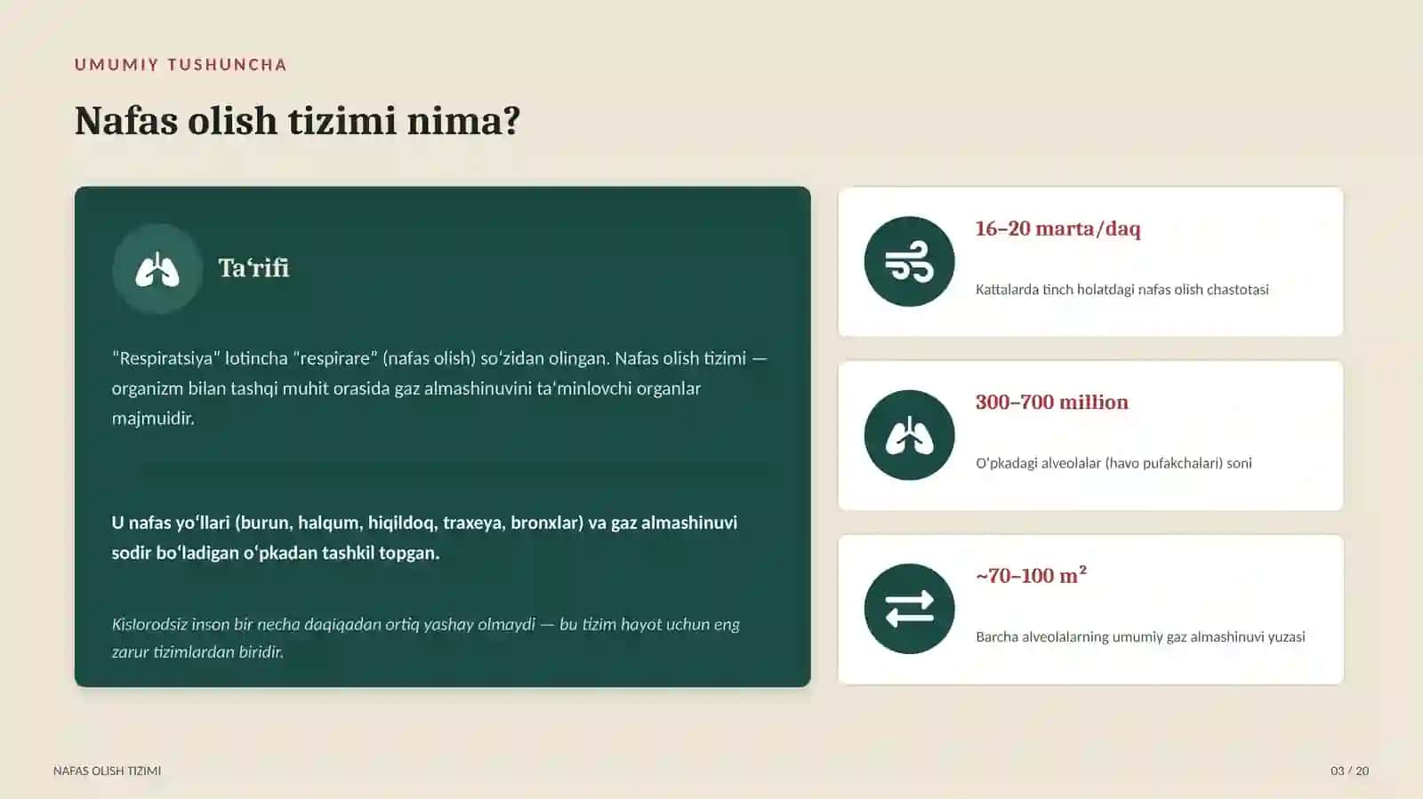 Nafas olish tizimi 3