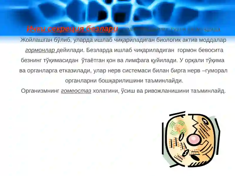 Ichkisekretsiyabezlariningyoshgahosxususiyatlari 3
