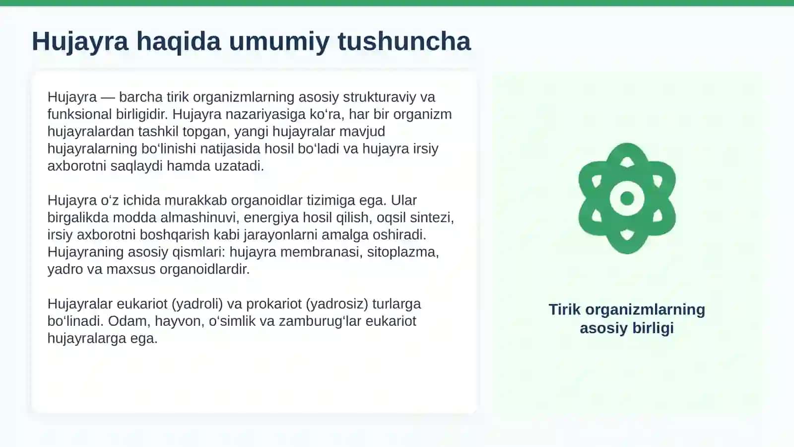 HUJAYRA VA UNING ORGANOIDLARI 3