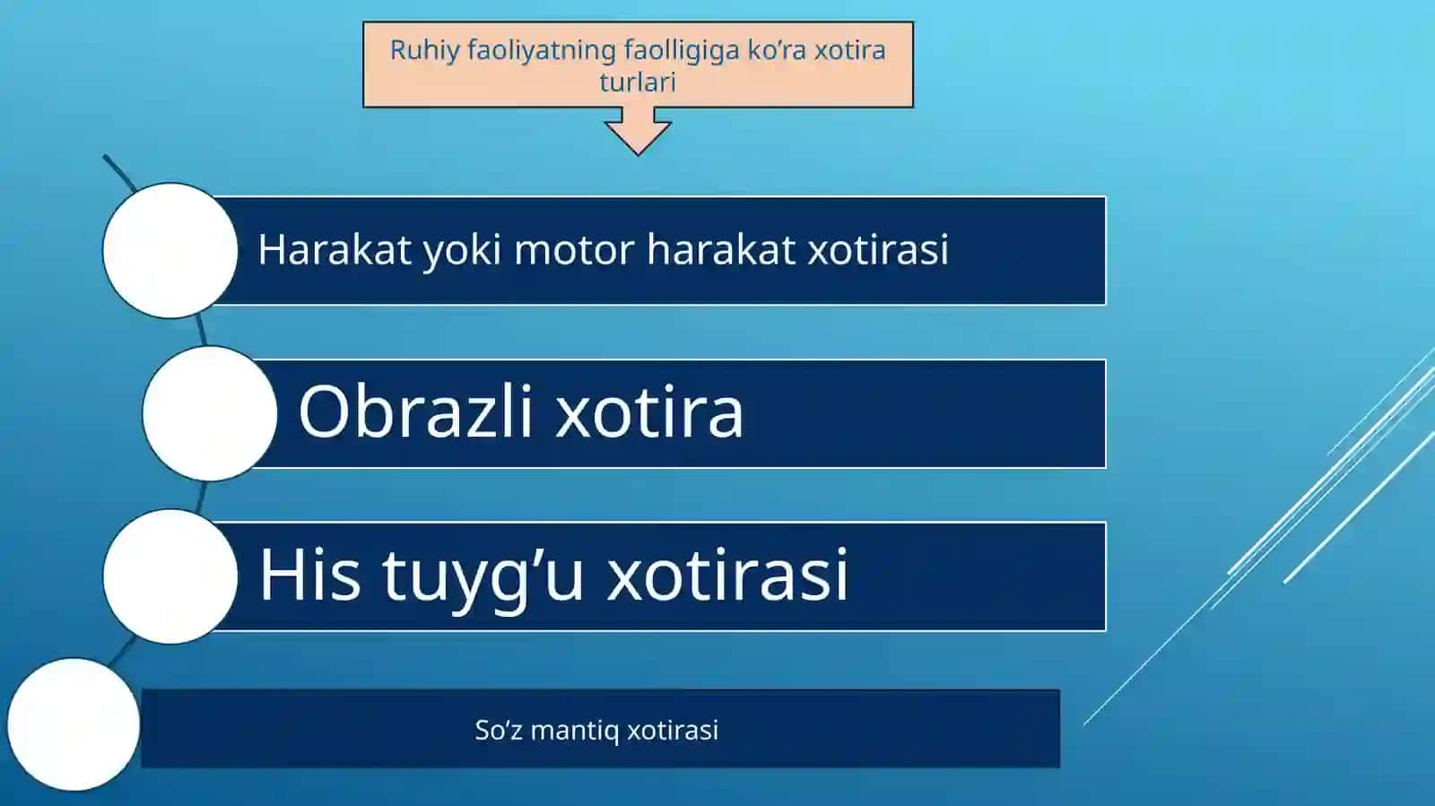 Xotira 3