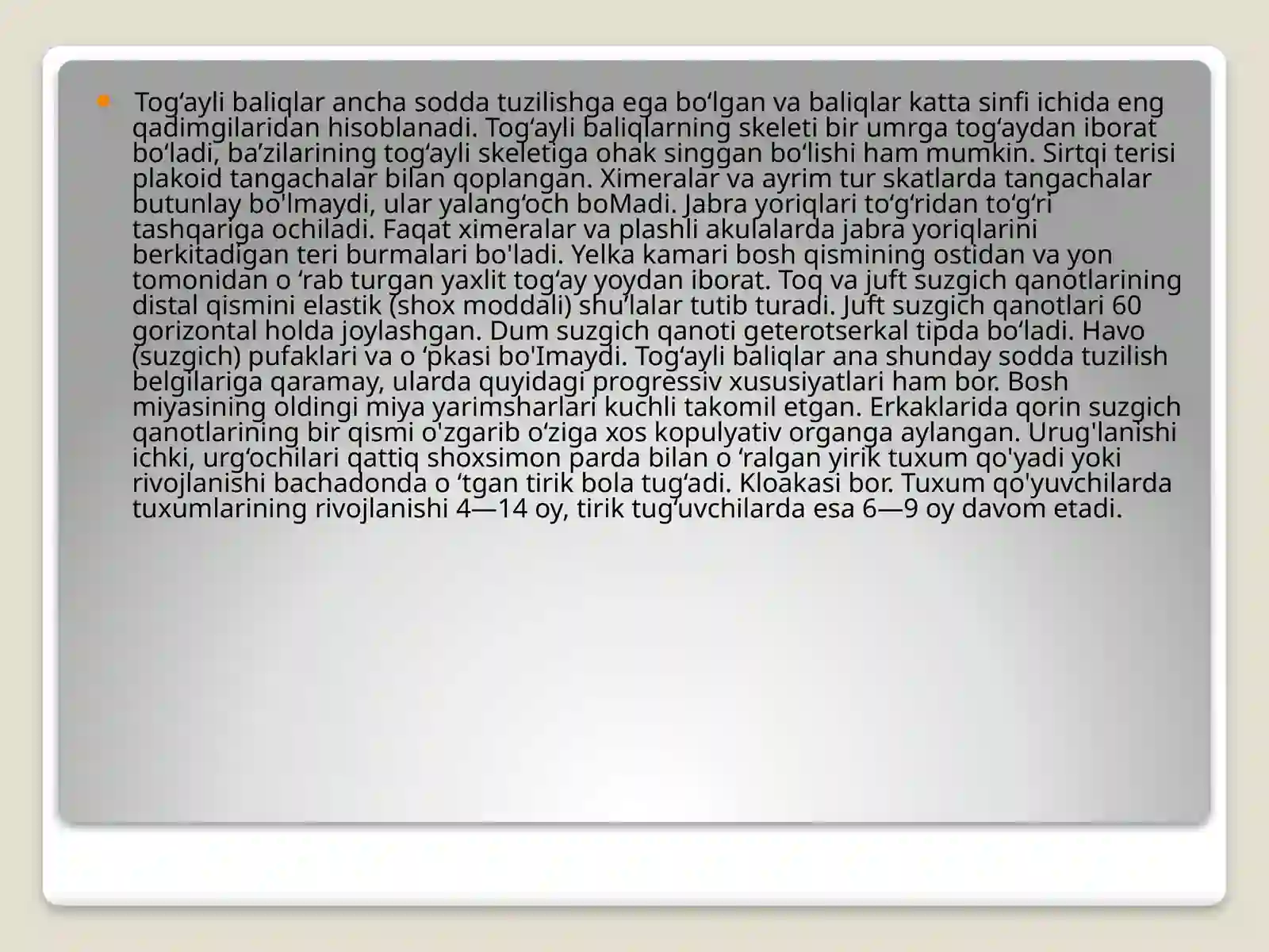 Baliqlarkattasinfi 3