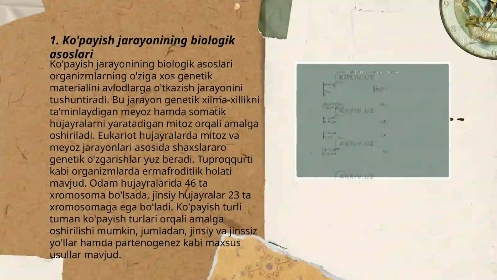 Organizmlarning koʻpayishiga oid masala va mashqlar tuzish 3