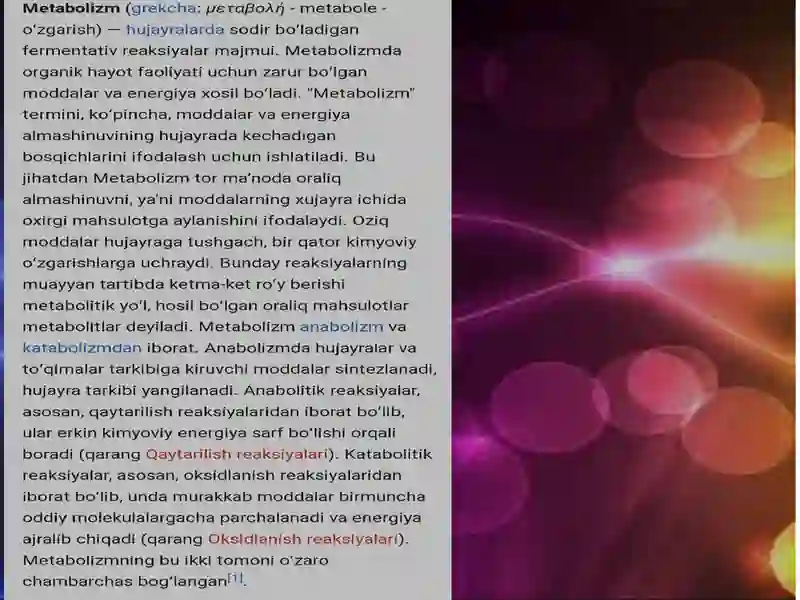 Metabolizm 3