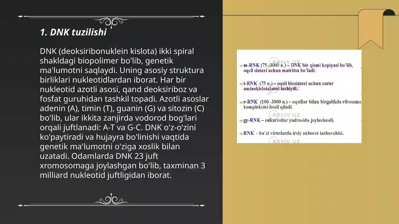 DNK haqida 3