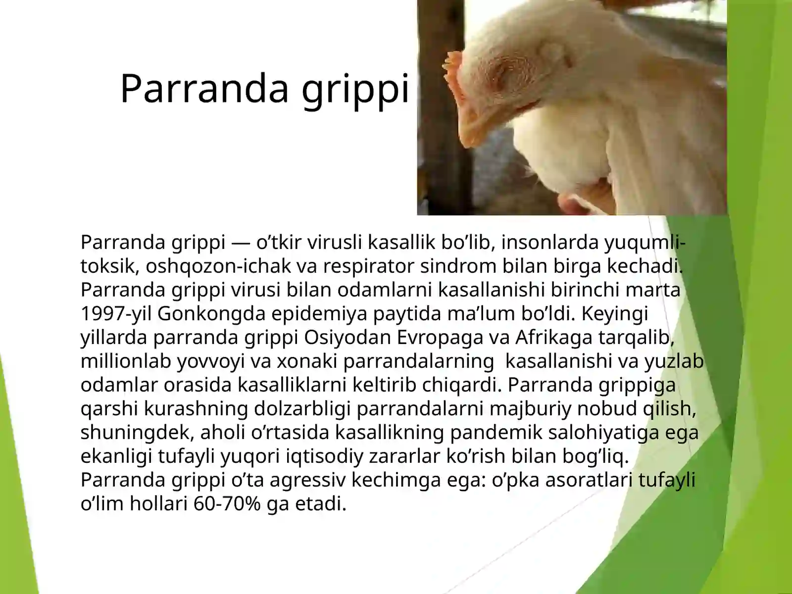 PARRANDA VA CHO’CHQA GRIPPI 3