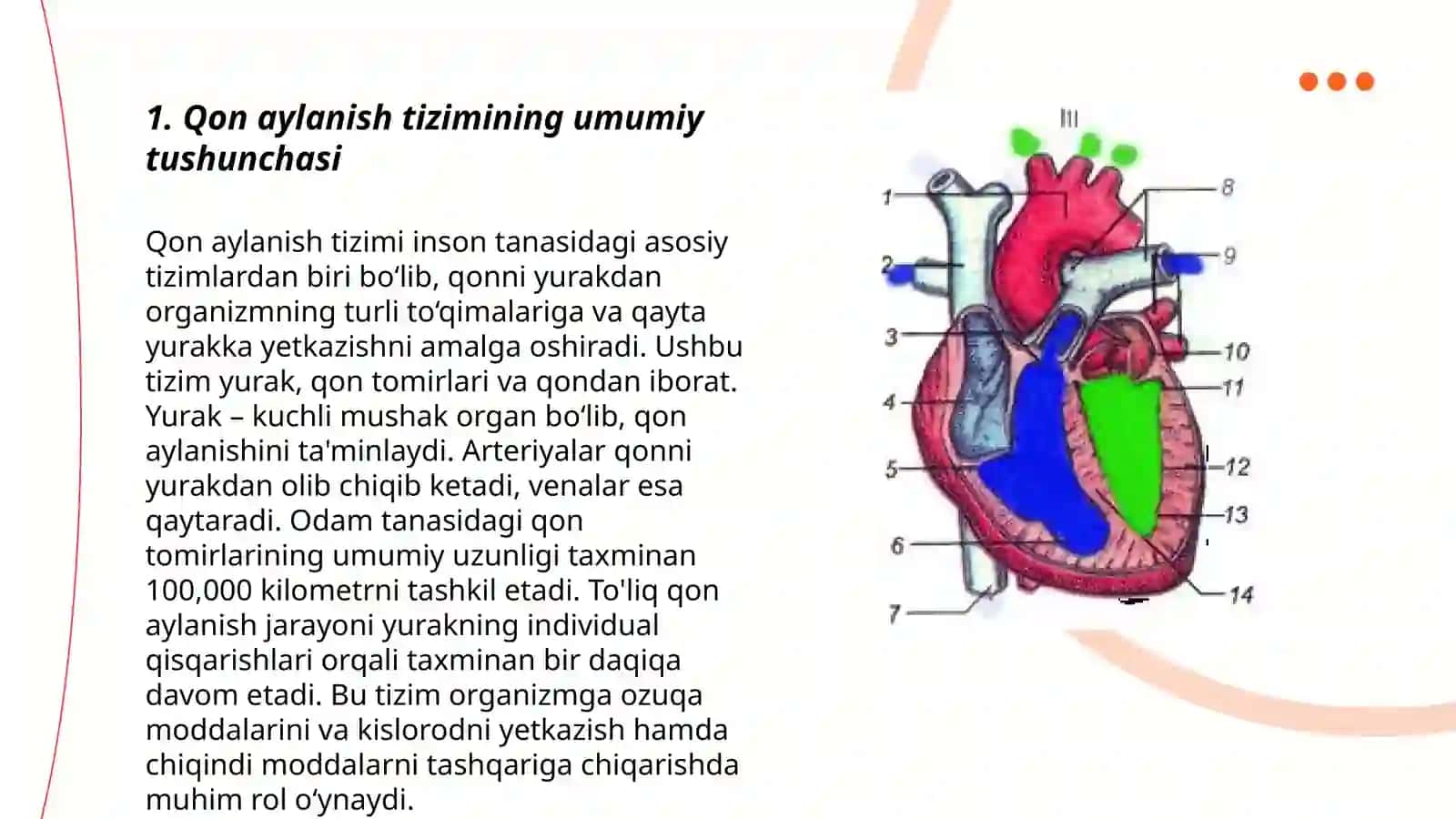 6-sinf Tabiiy fan darslarida "Qon aylanish sistemasi" mavzusini oʻqitishda soʻrovga asoslangan taʼlim (SAT) hamda uning tarkibiy qismi boʻlgan 5E modelidan foydalanish 3