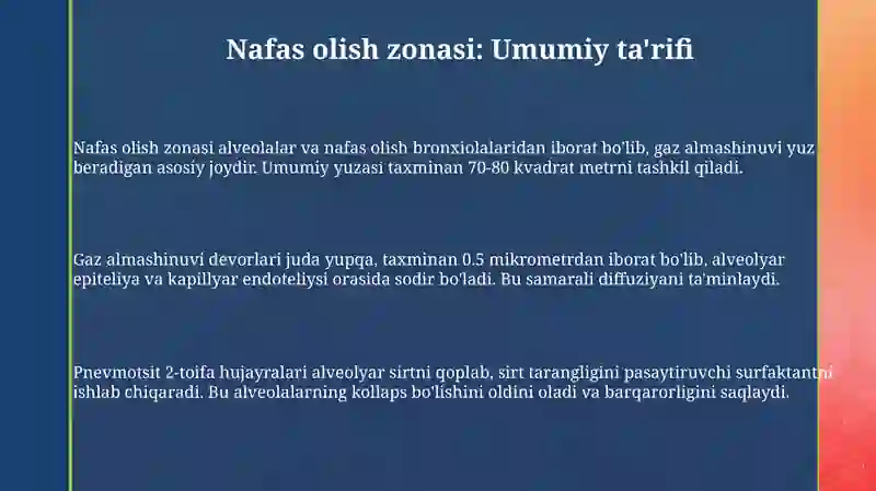 Nafas azolaring umumiy morfofunksional tavsifi 3