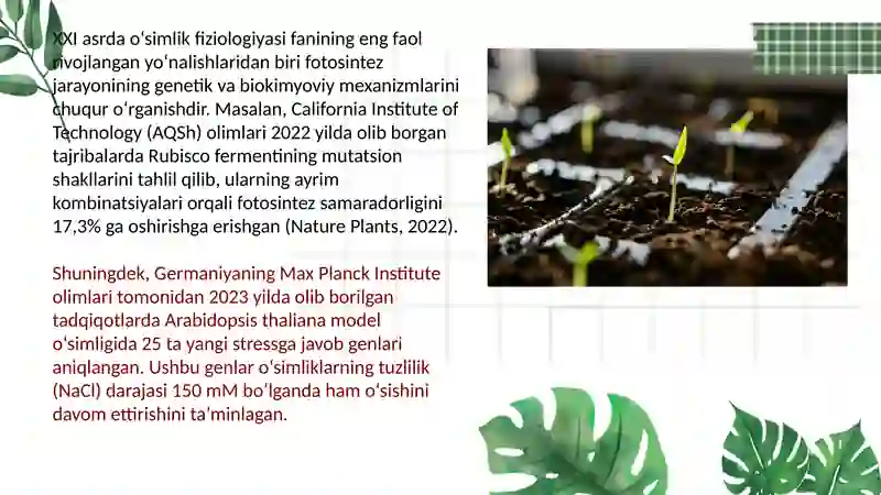 Oʻsimliklar fiziologiyasi yuzasidan chet el ilmiy tadqiqotlar va ular haqida ilmiy maqolalarni tahli 3