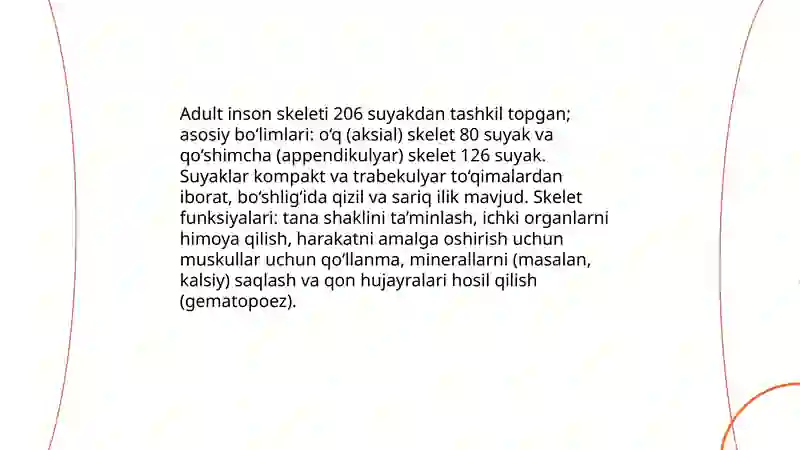 Skelet va boylamlar 3