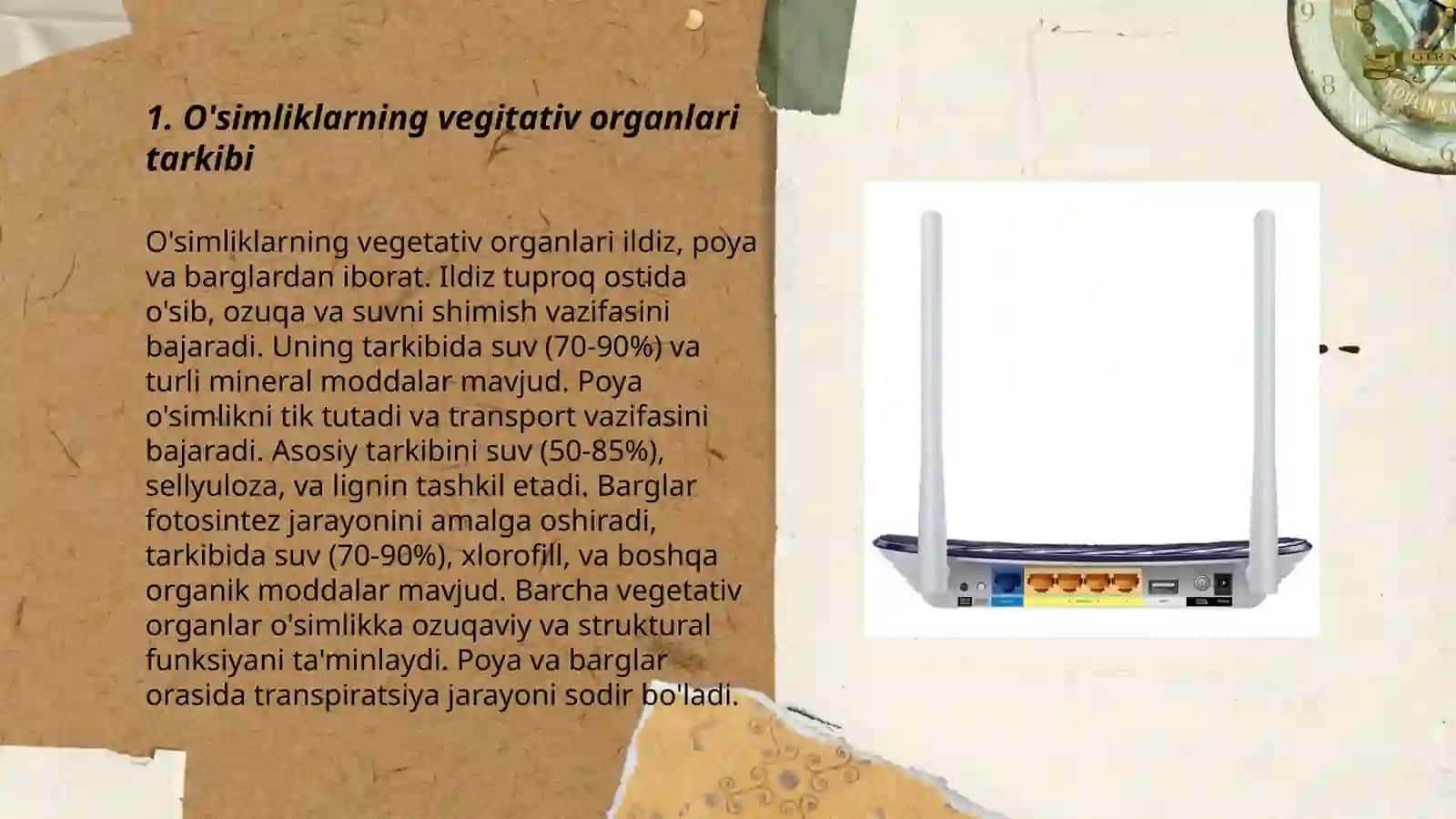 O'simliklar 3