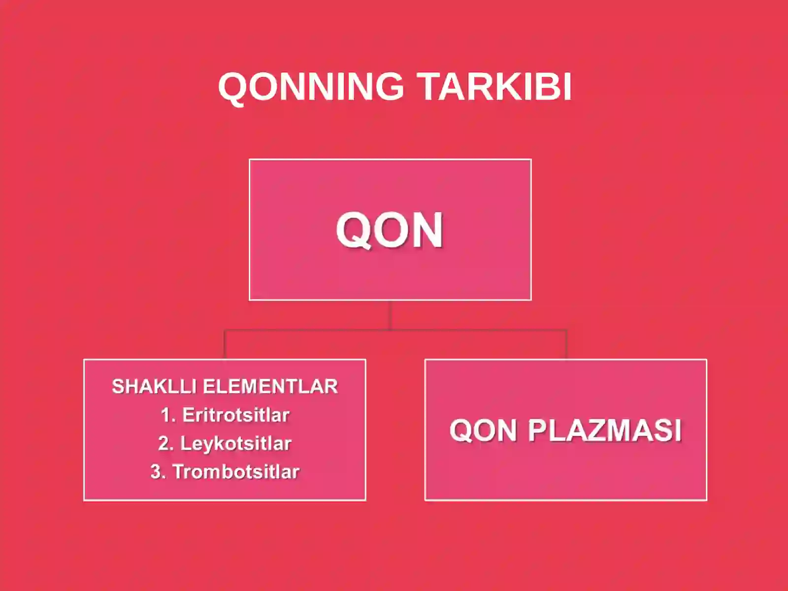 QON VA LIMFA 3