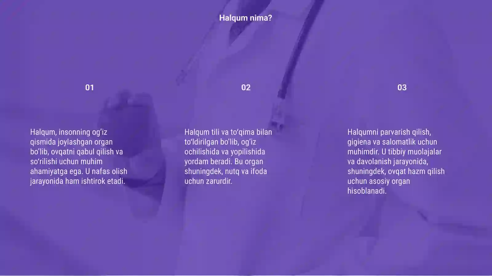 Halqum 3