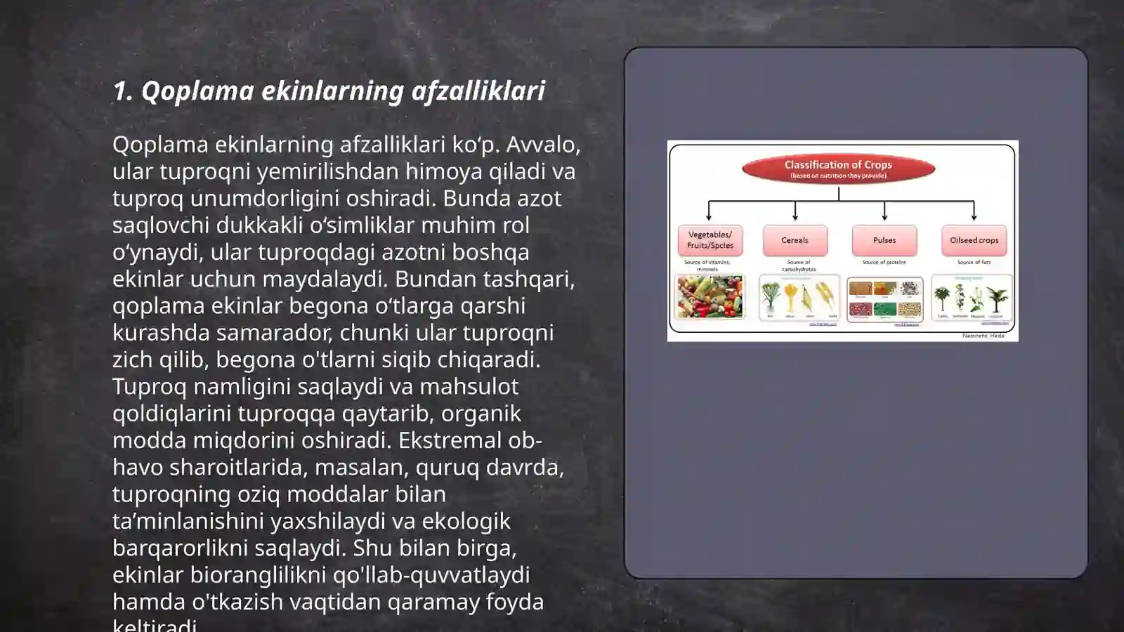 Qoplama ekinlarning afzalliklari 3