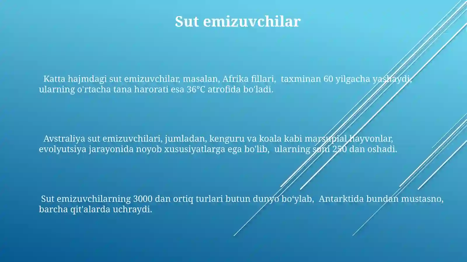 Chordata 3