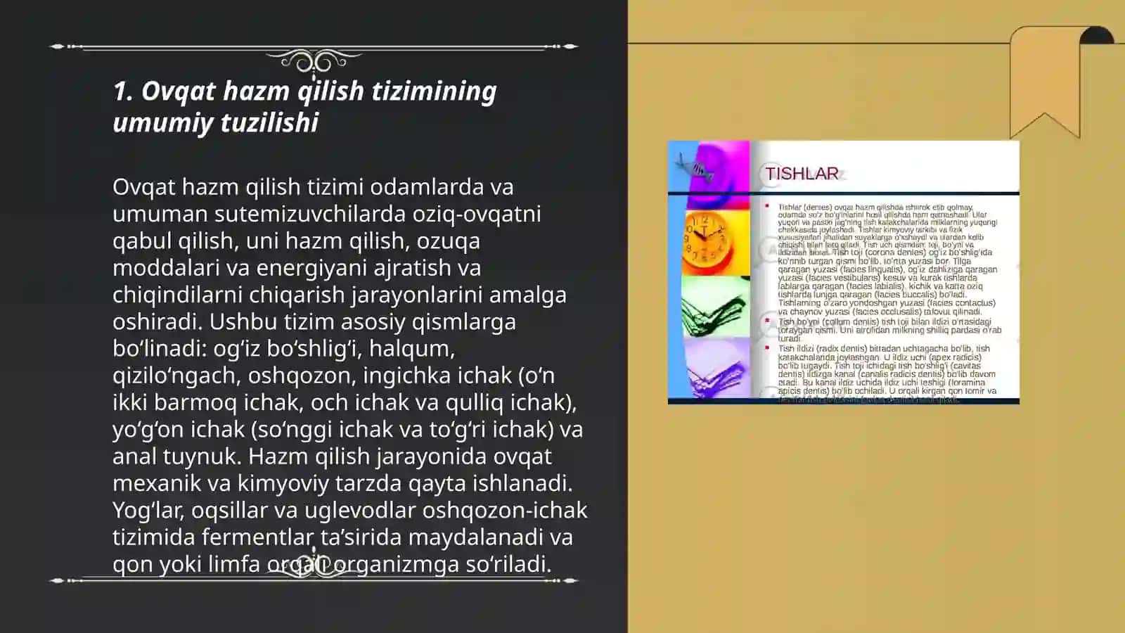 Ovqat hazm qilish sistemasini o'qitish metodikasi 3