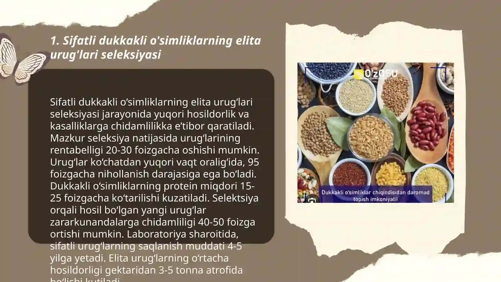Sifatli dukkakli usimliklardan elita urug'larni olish texnoligiyasi 3